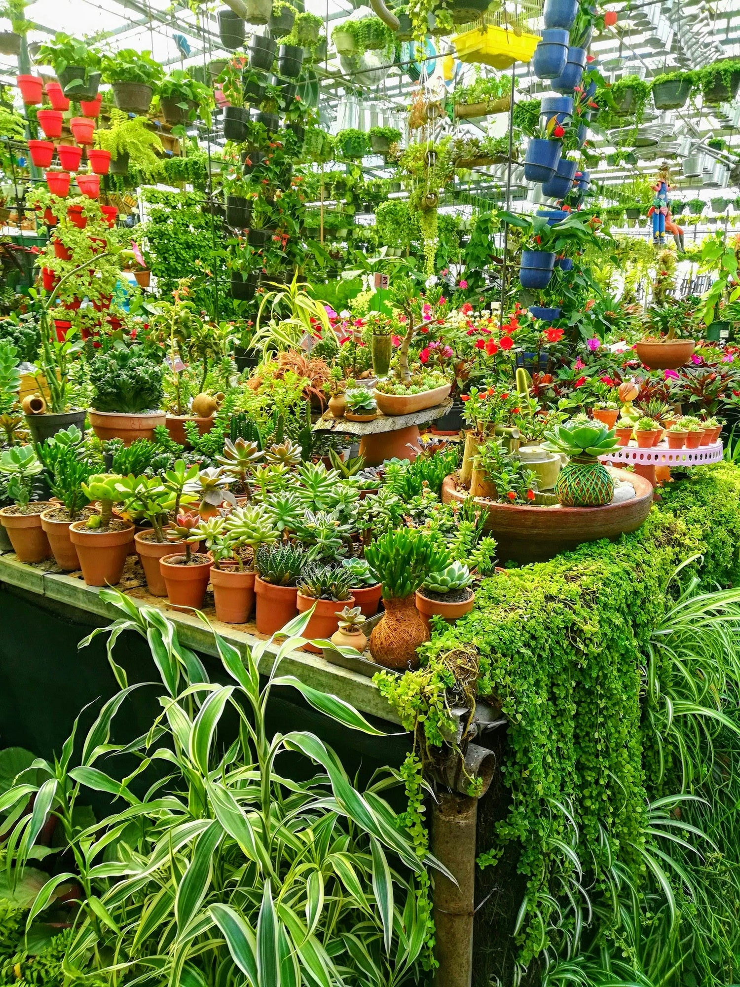 Green Garden Essentials