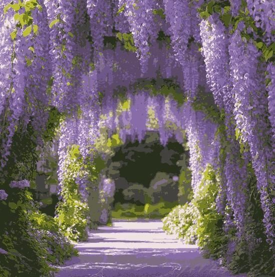 The Garden's Cascading Beauty All Year Round